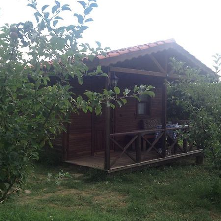 Salkim Konak Ve Agac Evler Vendégház Selçuk Szoba fotó
