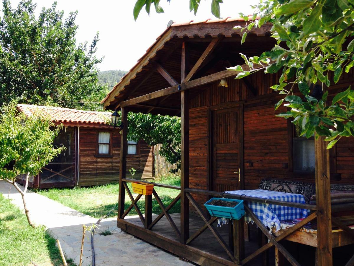 Salkim Konak Ve Agac Evler Vendégház Selçuk Kültér fotó